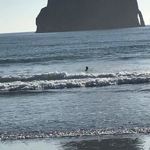 Meet your Posher, Boone